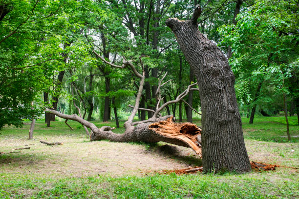 Soil Testing and Treatment in Charlotte, NC